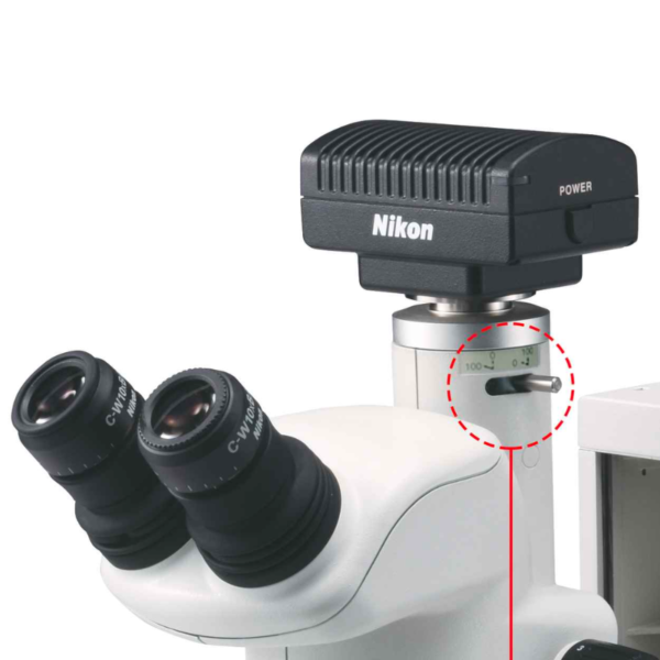 Nikon SMZ-745 and SMZ-745T Stereo Microscopes